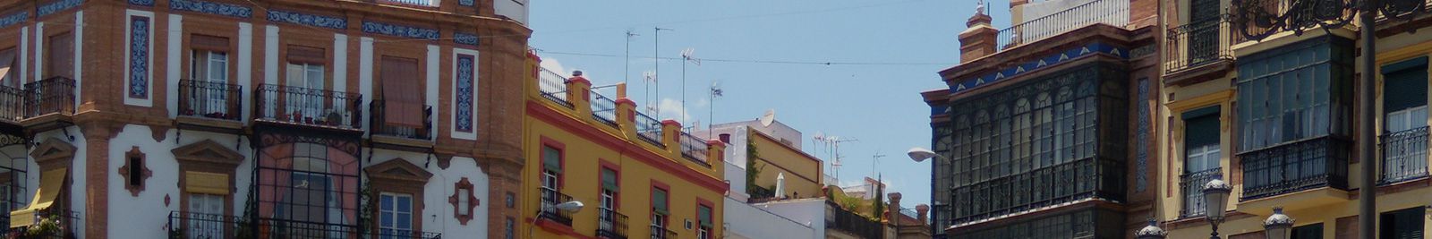 Servicios inmobiliarios profesionales. MANUEL REINA HIJANO en Sevilla